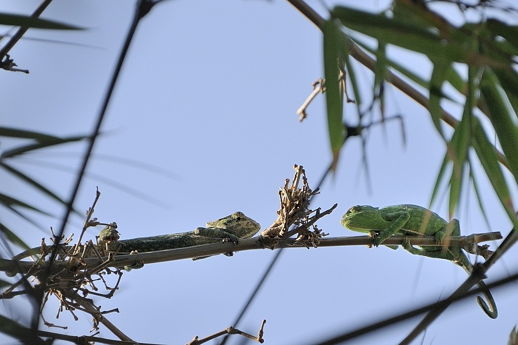 12391 01x