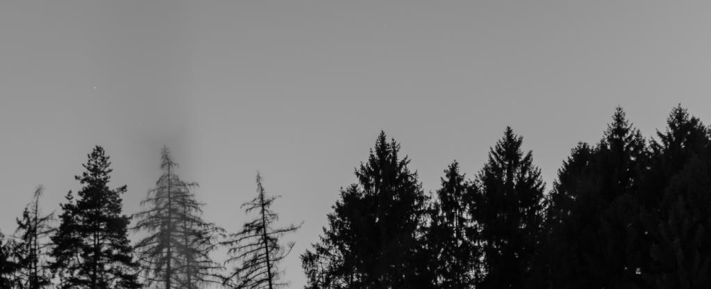 125/365
