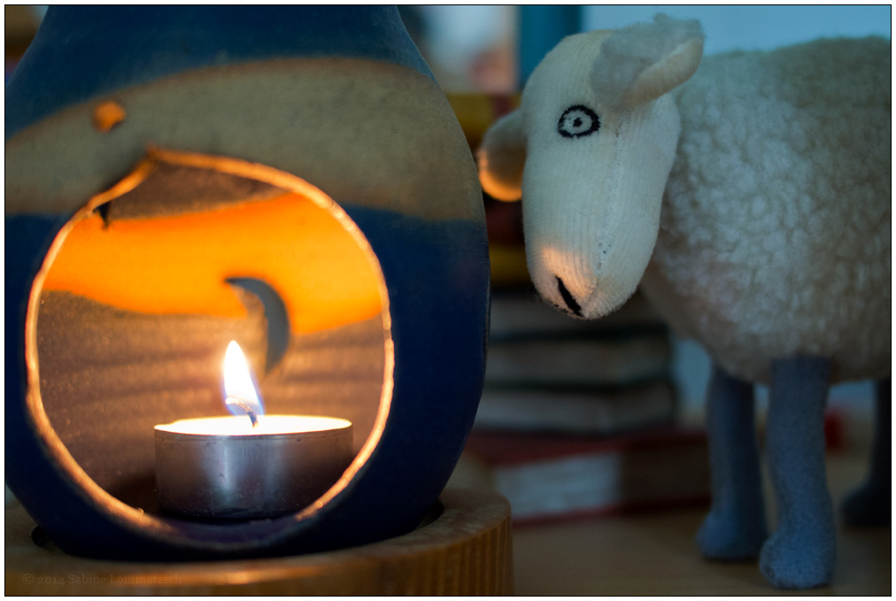 128/365
