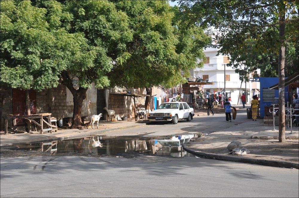 12comp Senegal 3 340