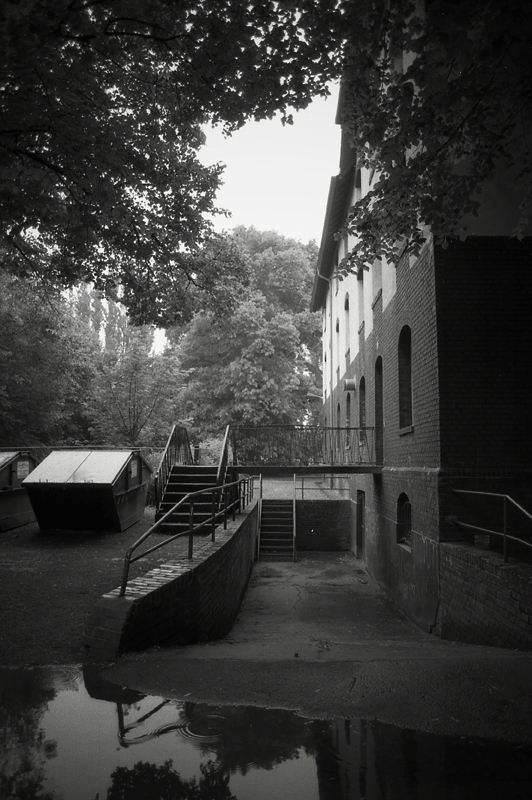 12f6kodaktmax100d