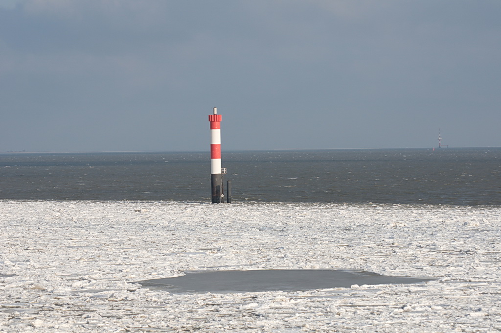 12TP D300s 00137