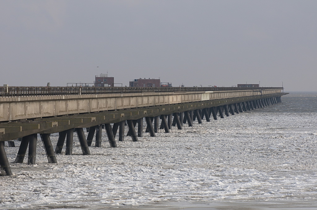 12TP D300s 00141