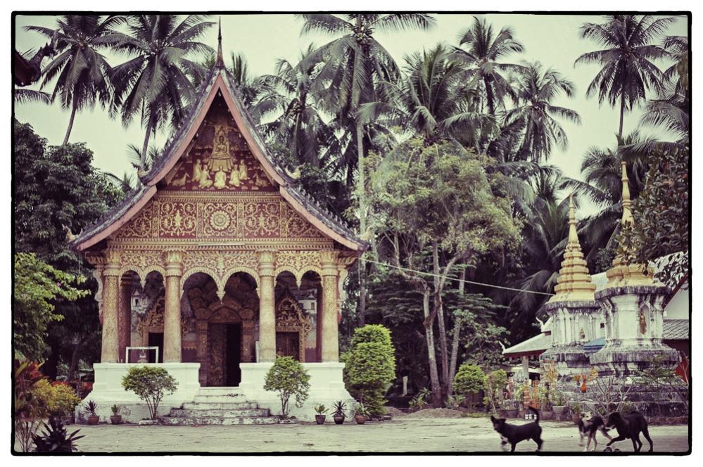 130105LuangPrabang 6 Snapseed