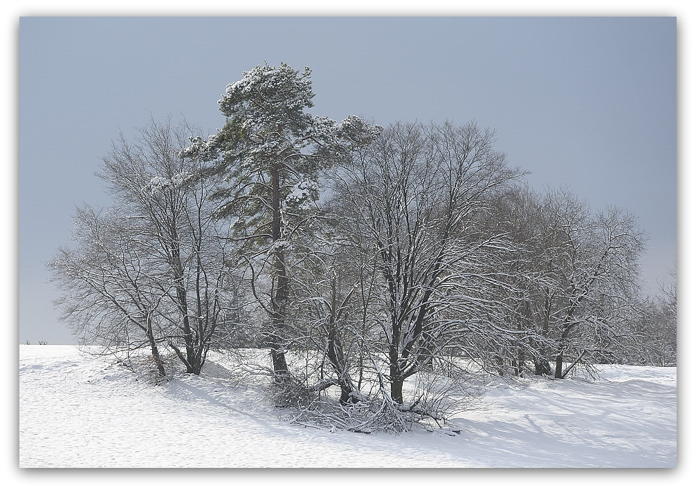 130209 Pano 040,
2013