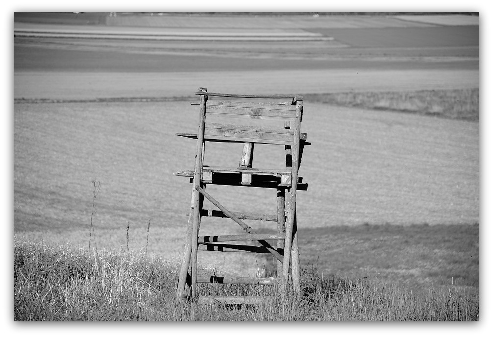 130505 Niedernb 0056,
2013