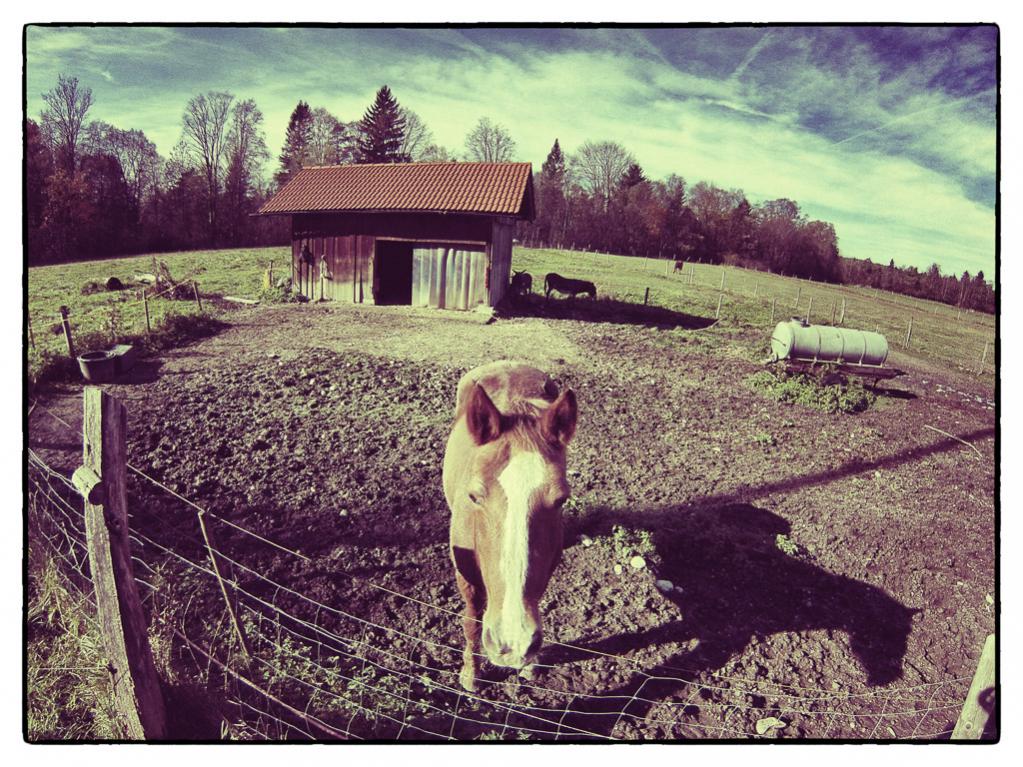 131026 13 18 59G0165478 Bearbeitet 2web