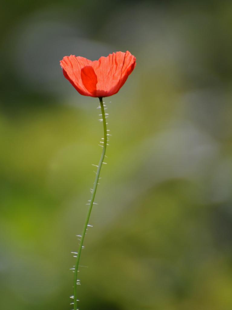 1351