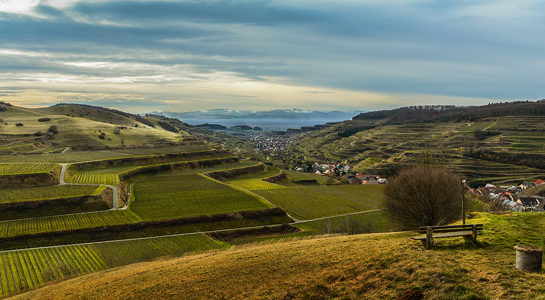 14 02 06 2696 badberg v ohrenberg