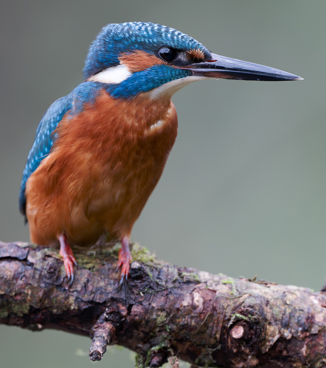 14 400mm f-4.jpg