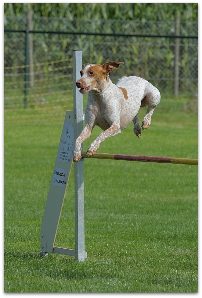 140824 103631,
Sommerfest
D700  70-200/2,8