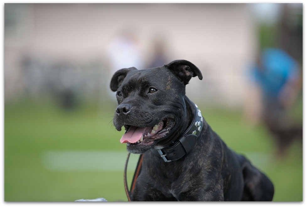 140824 132919,
D700 70-200/2,8