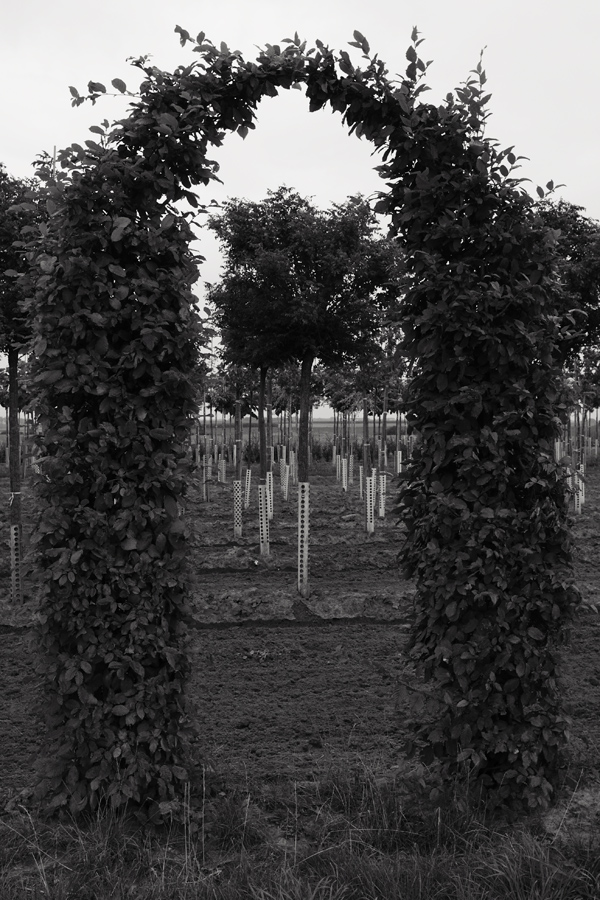 140900eigenartigerort