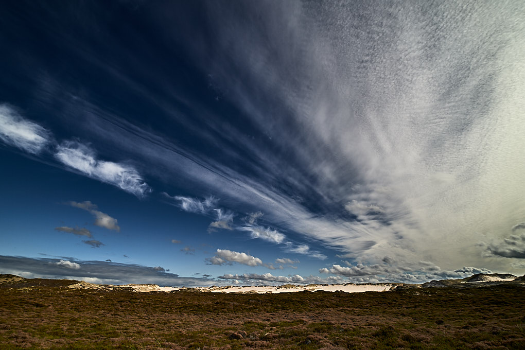 14mm.jpg