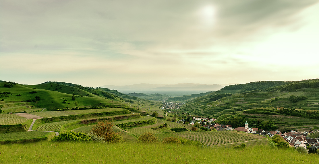 15 05 07 9589 ohrberg krottenbachtal