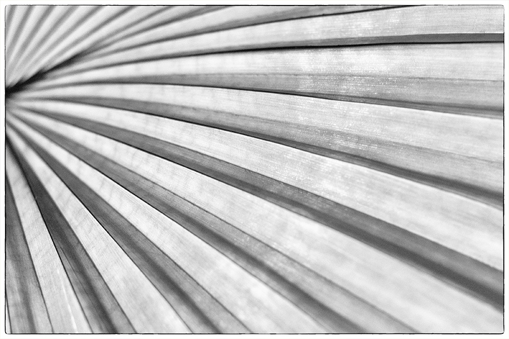 150/365