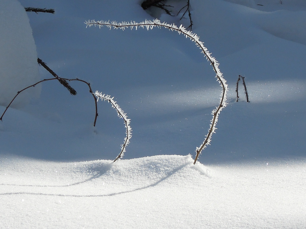 150213 029 Schneeberg