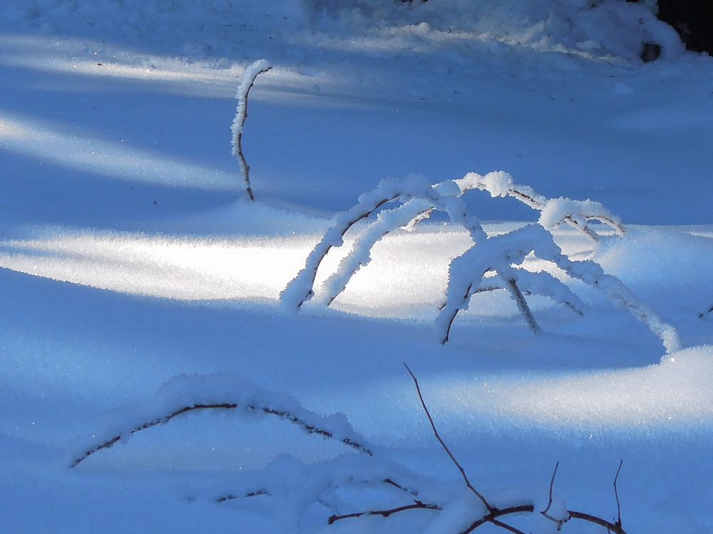 150213 049 Schneeberg 2