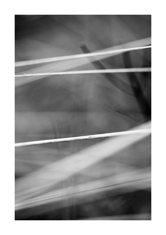 151700liegendswr
