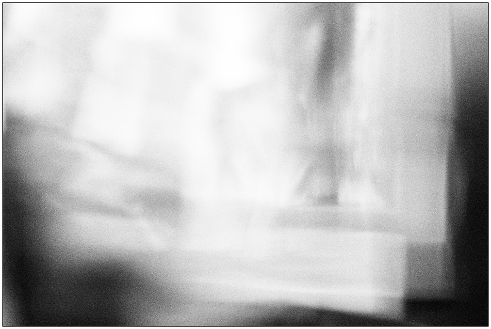 156/365