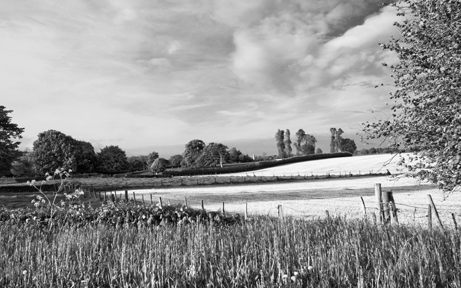 157900landschswrotf2