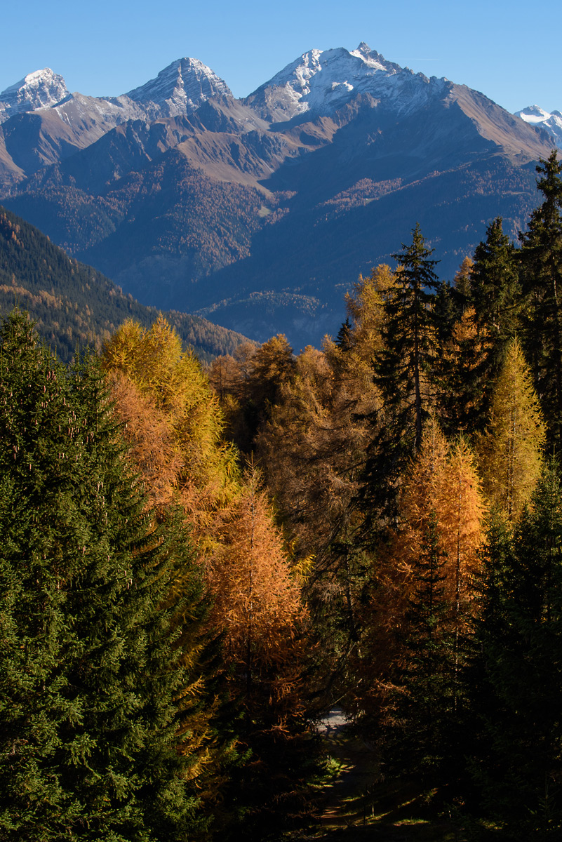 15F 3926