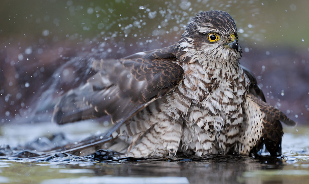 16 400mm f-2.8.jpg