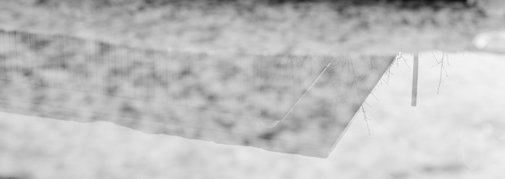 164/365