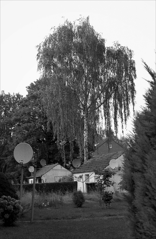 16800f7kodaktmax400vorgartenidyllr
