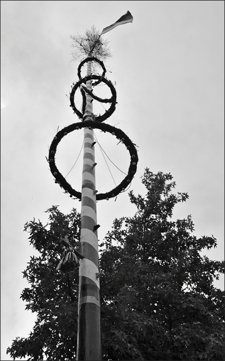 16maibaumimjuliklr
