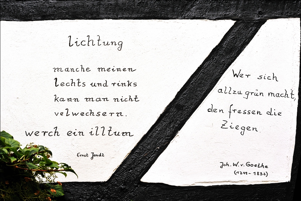 17.09.2011 - Hattingen - Lichtung