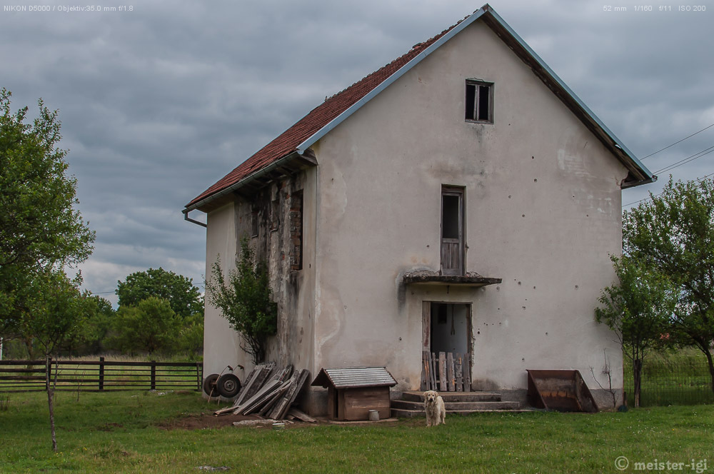 17. Juni 2014 DSC 4849