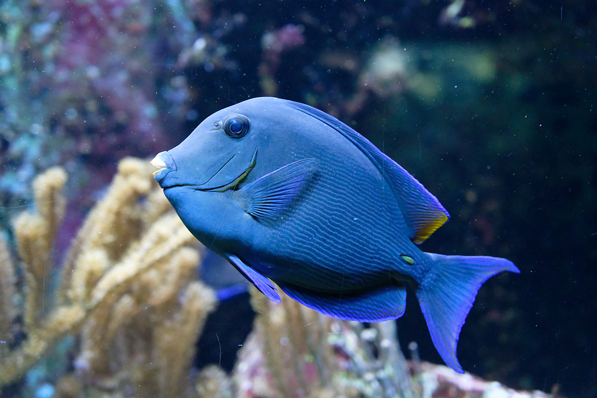 17. Oktober 2018   Zoo   086 DxO