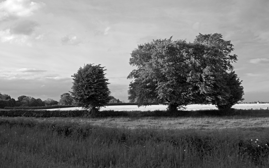 171900landschsw