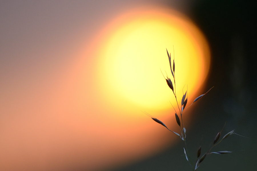 173sonnenuntergang