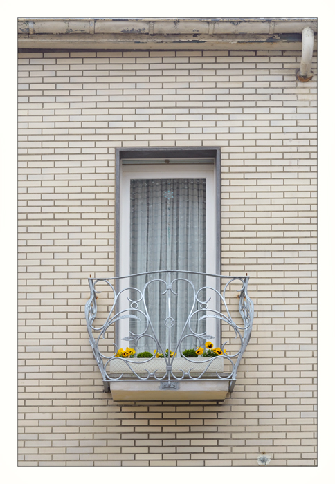 17700fensterfrühlingr2