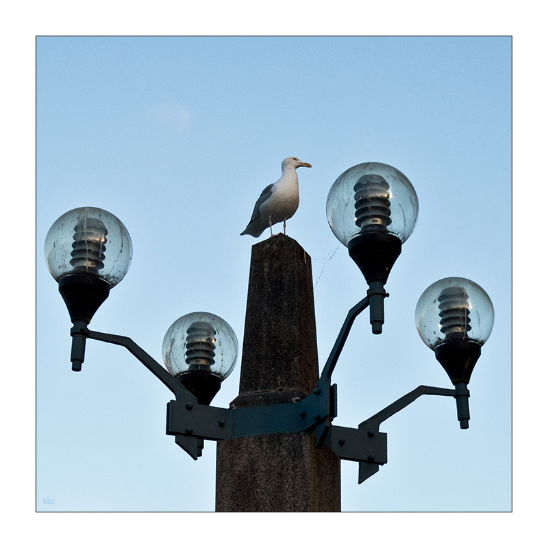 full