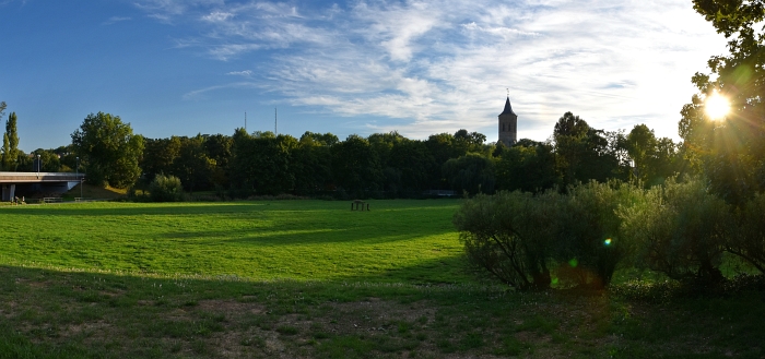 17mm Pano zyl DSI 2993 klein