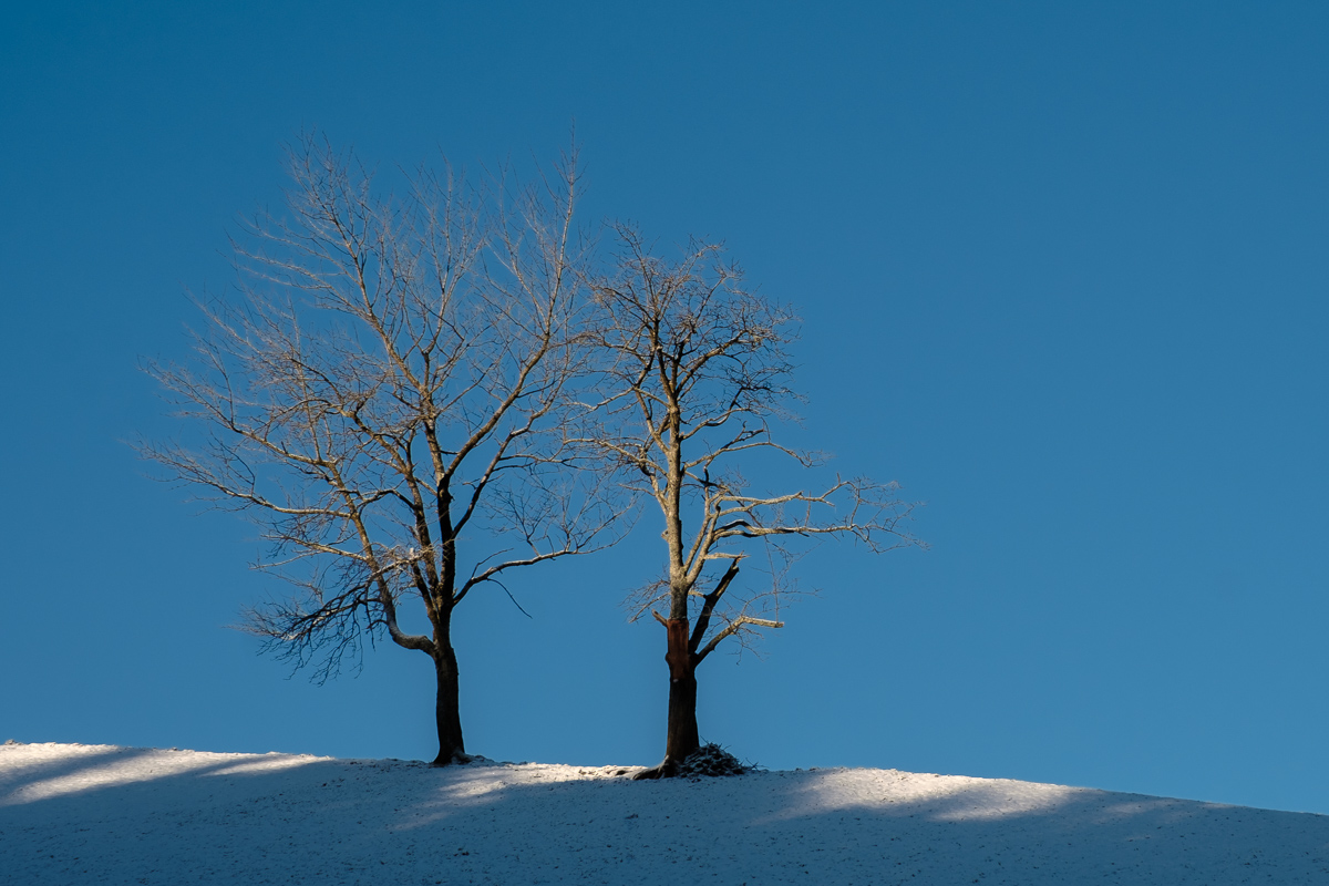 17XT2805