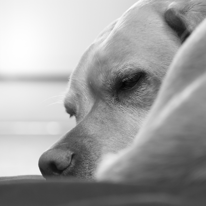 18 105er Test 105mm