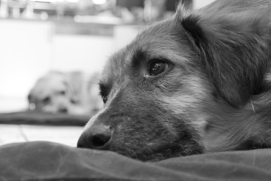 18 105er Test 35mm F5