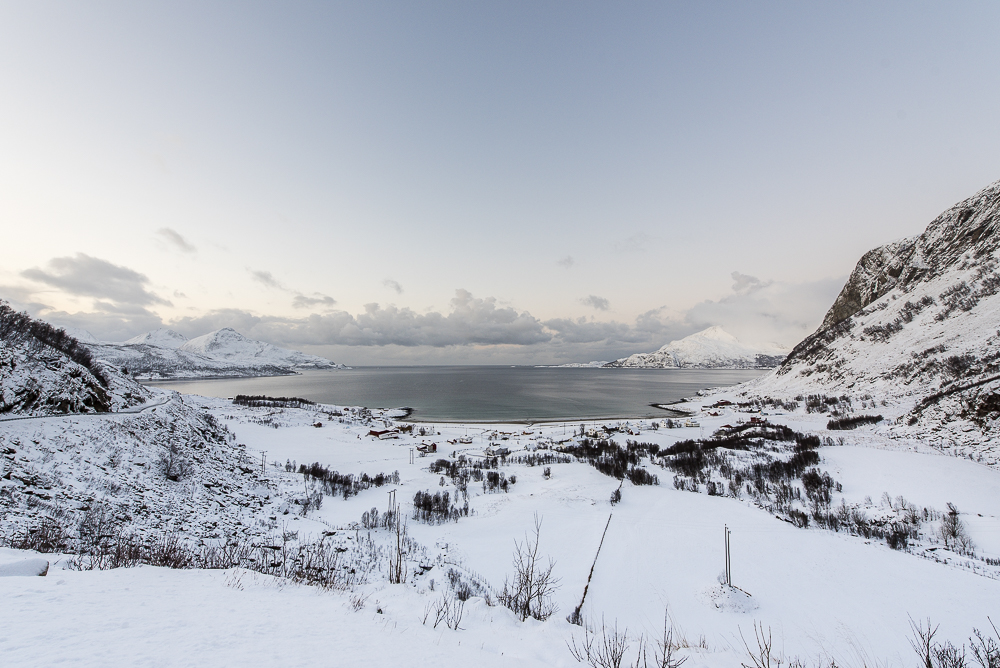 18 Grotfjord