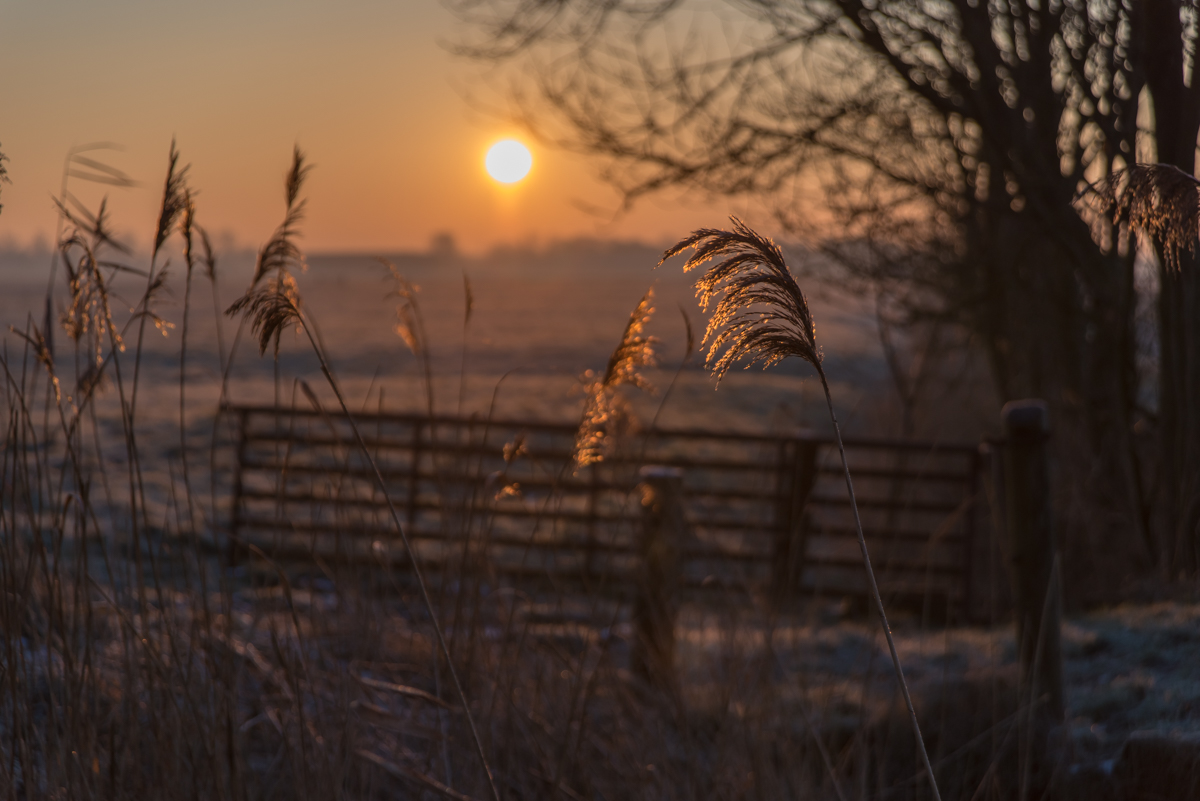 180207 Sonnenaufgang Landwürden 3