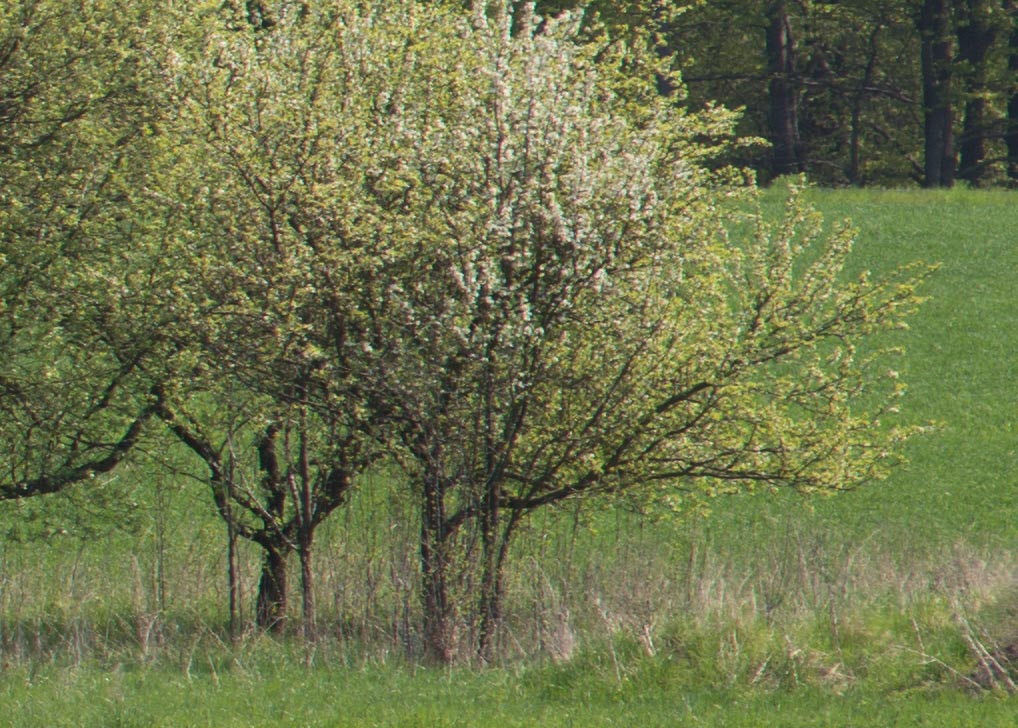 180mm 28 ais 80 rand rechts 9971