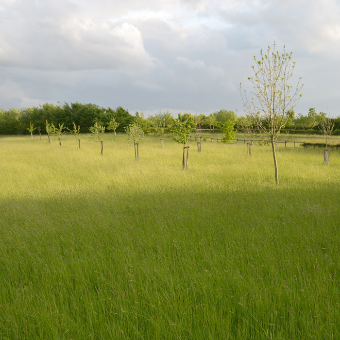 183700landschstreuobstwiese