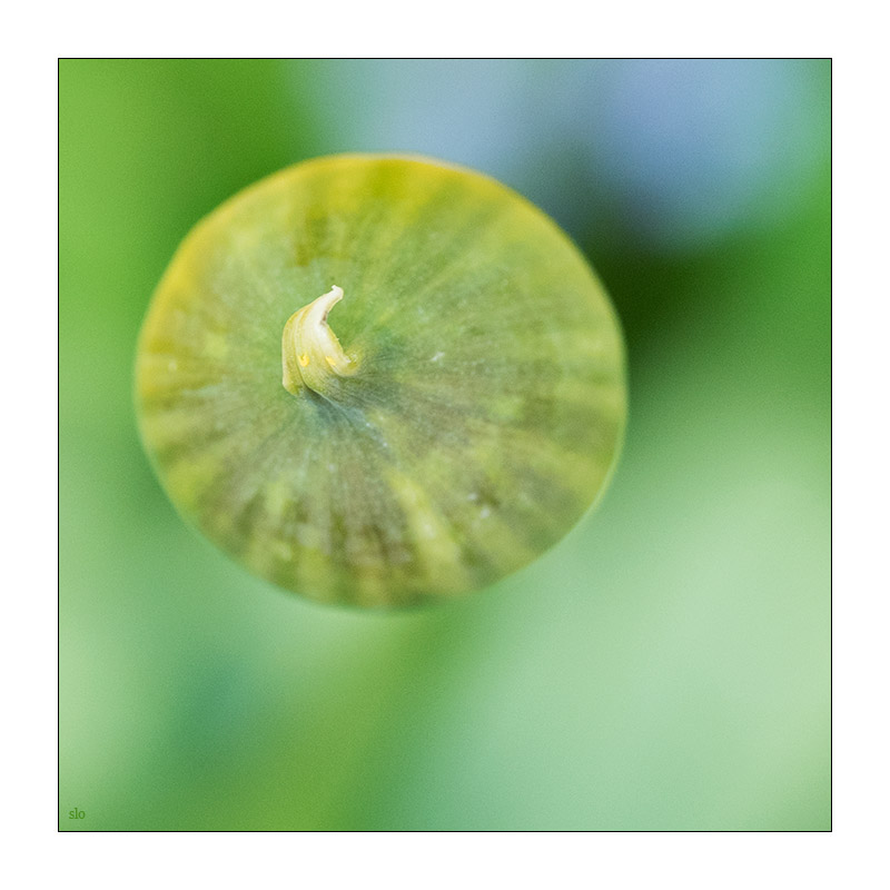 19/52