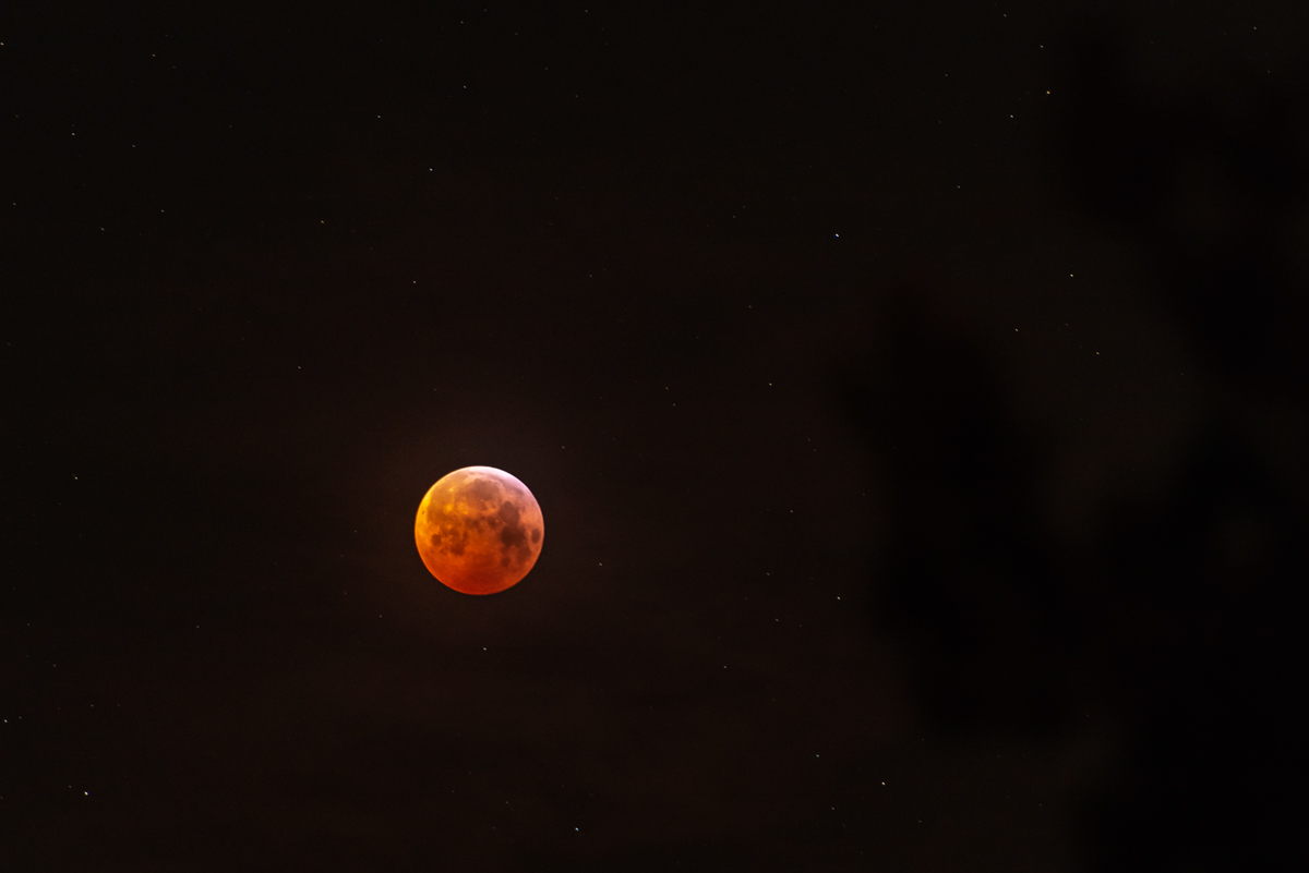 190121 Blutmond 4