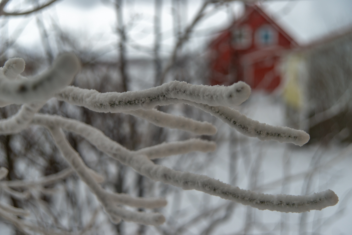 190305 Lofoten  2