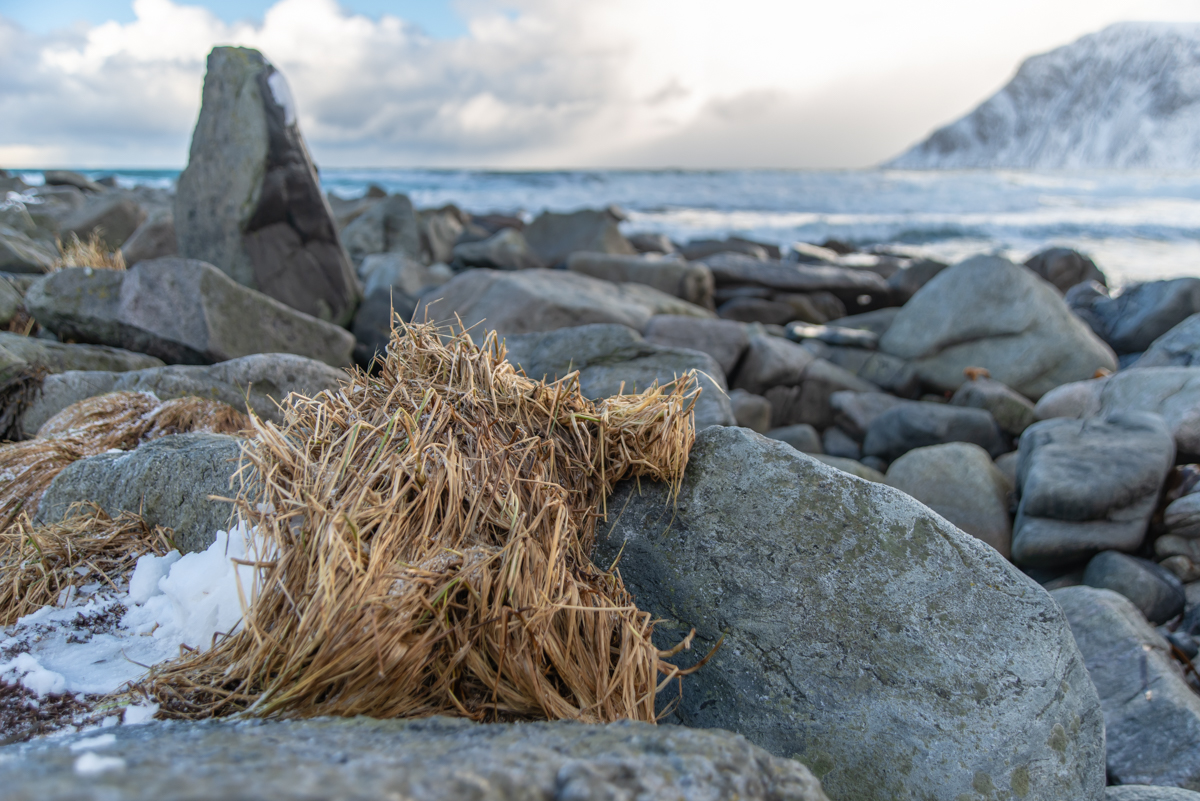 190306 Lofoten  10