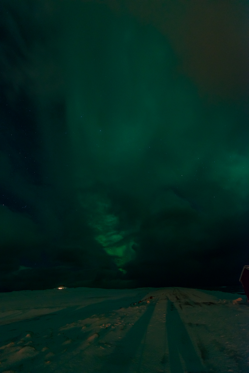 190306 Lofoten  29